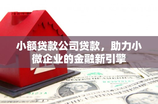 新田小额贷款公司贷款，助力小微企业的金融新引擎