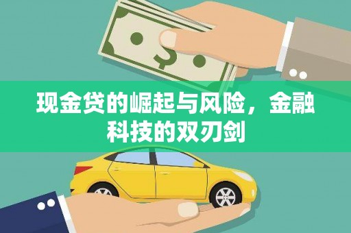 新田现金贷的崛起与风险，金融科技的双刃剑