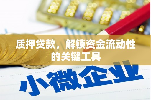 新田质押贷款，解锁资金流动性的关键工具