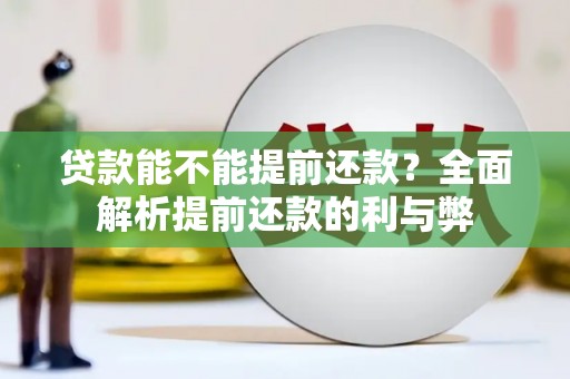 新田贷款能不能提前还款？全面解析提前还款的利与弊