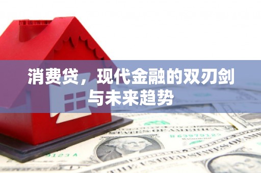 新田消费贷，现代金融的双刃剑与未来趋势