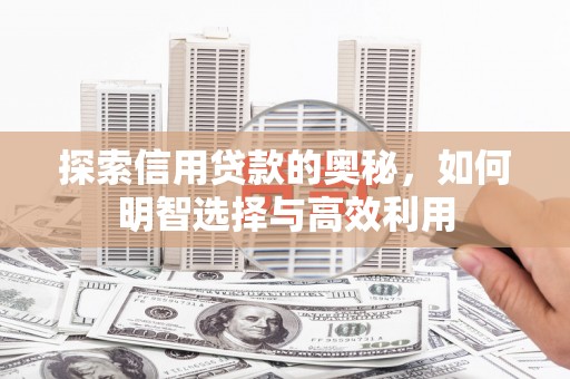 新田探索信用贷款的奥秘，如何明智选择与高效利用