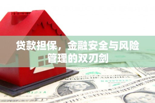 新田贷款担保，金融安全与风险管理的双刃剑