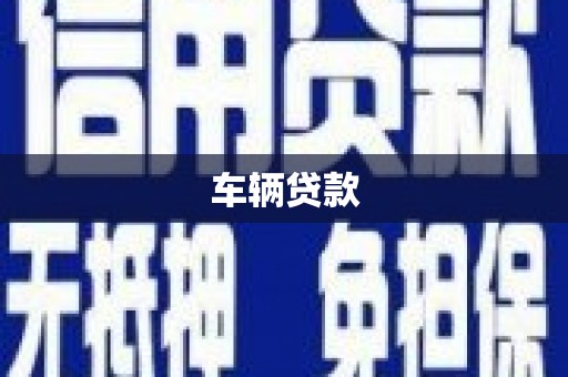 新田车辆贷款