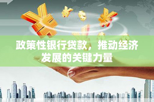 新田政策性银行贷款，推动经济发展的关键力量