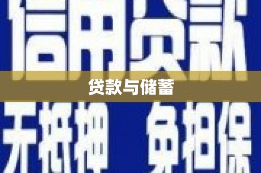 新田贷款与储蓄