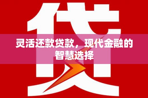 新田灵活还款贷款，现代金融的智慧选择