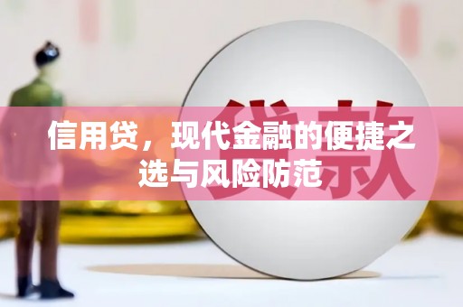 新田信用贷，现代金融的便捷之选与风险防范