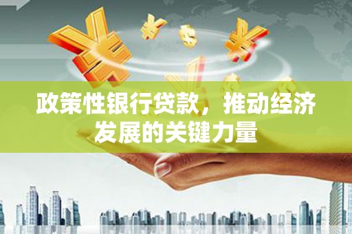 新田政策性银行贷款，推动经济发展的关键力量