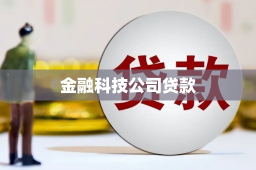 新田金融科技公司贷款