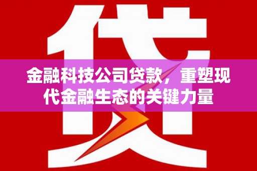 新田金融科技公司贷款，重塑现代金融生态的关键力量