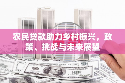 新田农民贷款助力乡村振兴，政策、挑战与未来展望