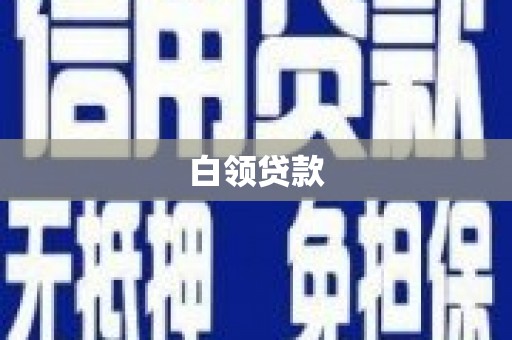 新田白领贷款