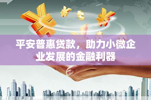 新田平安普惠贷款，助力小微企业发展的金融利器
