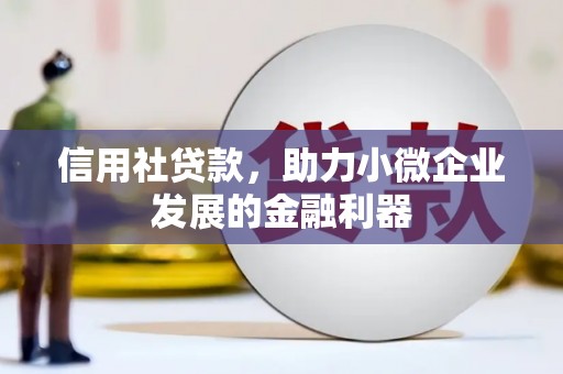 新田信用社贷款，助力小微企业发展的金融利器