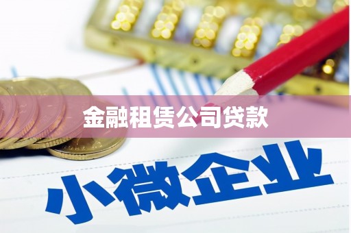 新田金融租赁公司贷款