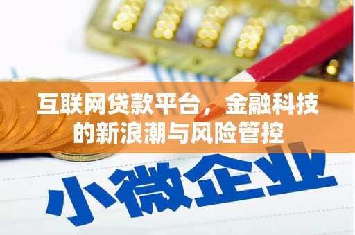 新田互联网贷款平台，金融科技的新浪潮与风险管控