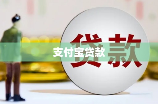 新田支付宝贷款