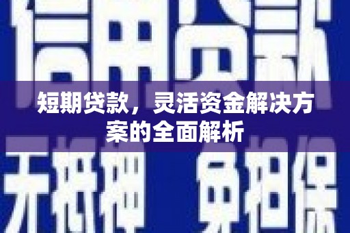 新田短期贷款，灵活资金解决方案的全面解析