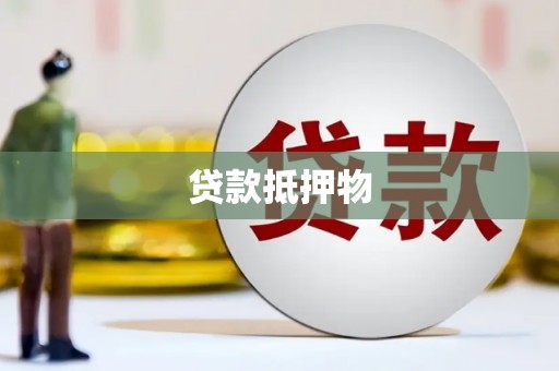 新田贷款抵押物