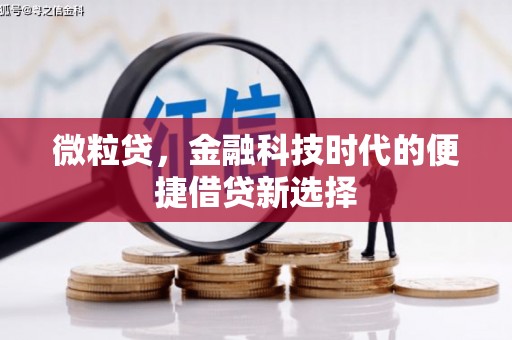 新田微粒贷，金融科技时代的便捷借贷新选择