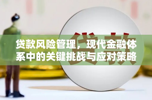 新田贷款风险管理，现代金融体系中的关键挑战与应对策略