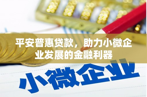新田平安普惠贷款，助力小微企业发展的金融利器