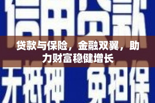 新田贷款与保险，金融双翼，助力财富稳健增长