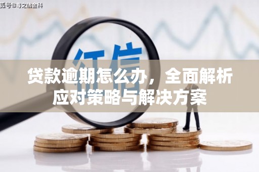 新田贷款逾期怎么办，全面解析应对策略与解决方案