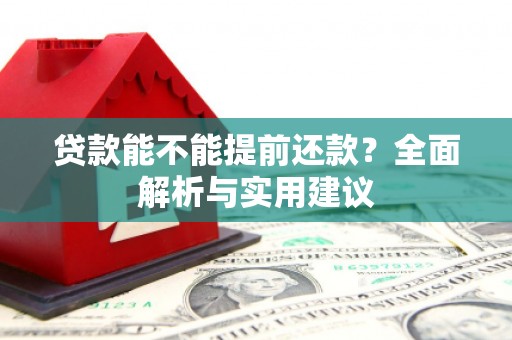 新田贷款能不能提前还款？全面解析与实用建议