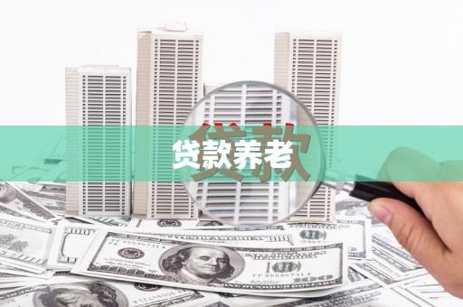 新田贷款养老