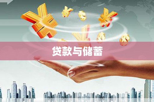 新田贷款与储蓄