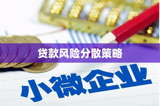 新田贷款风险分散策略