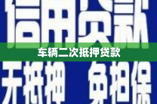 新田车辆二次抵押贷款