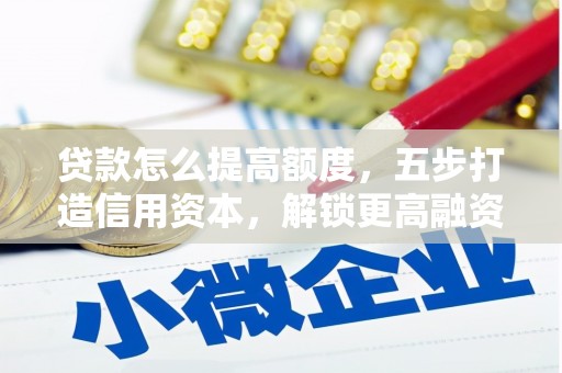 新田贷款怎么提高额度，五步打造信用资本，解锁更高融资空间