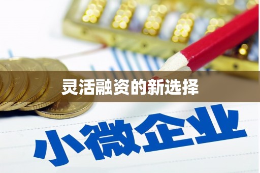 新田灵活融资的新选择