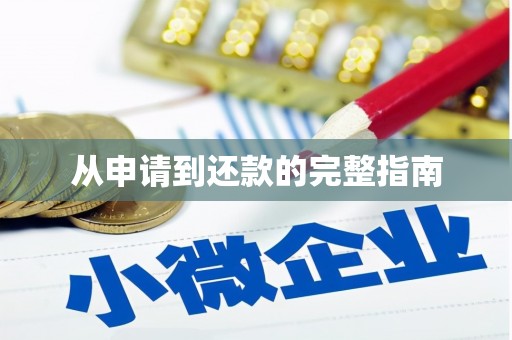 新田从申请到还款的完整指南