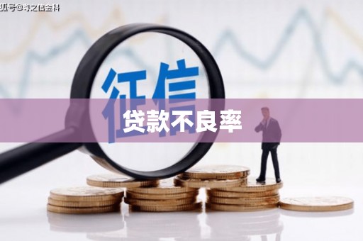 新田贷款不良率