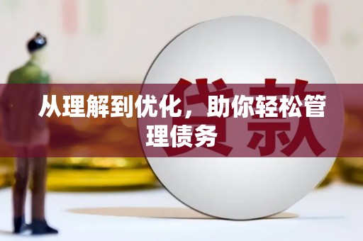 新田从理解到优化，助你轻松管理债务