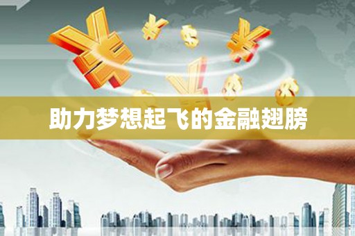 新田助力梦想起飞的金融翅膀