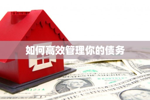 新田如何高效管理你的债务