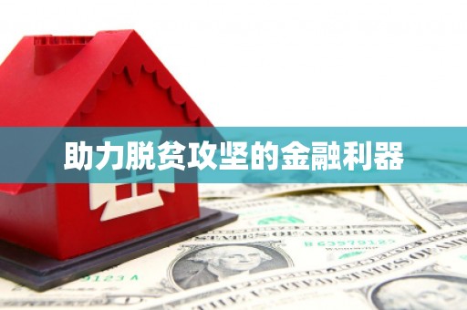 新田助力脱贫攻坚的金融利器