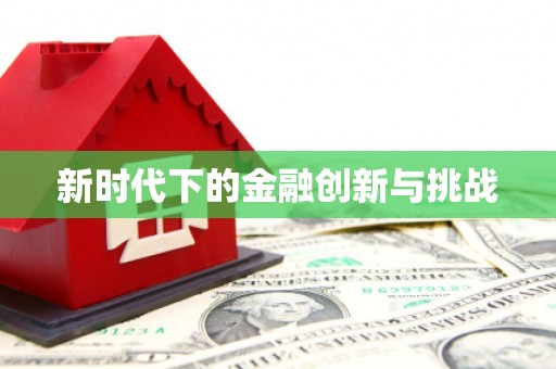 新田新时代下的金融创新与挑战