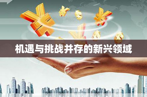 新田机遇与挑战并存的新兴领域