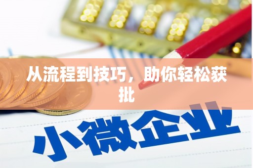 新田从流程到技巧，助你轻松获批