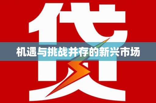 新田机遇与挑战并存的新兴市场