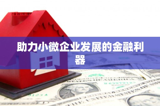 新田助力小微企业发展的金融利器